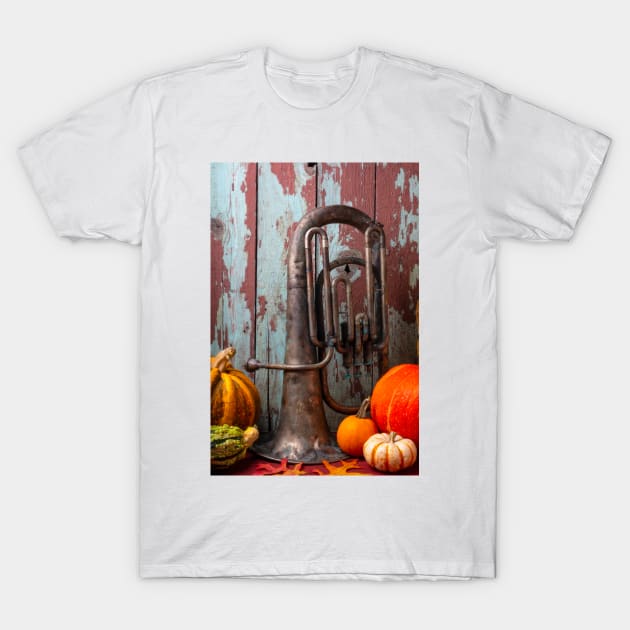 Old Tuba And Pumpkins T-Shirt by photogarry